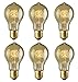 Rolay 30W Vintage Edison Light Bulbs with Squirrel Cage Filament, 170 Lumens, 6 Pack