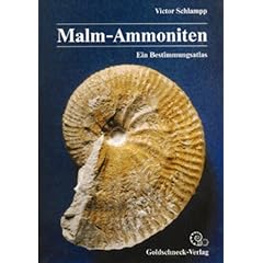 Malm-Ammoniten