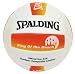 Spalding King Of The Beach Outdoor Volleyball