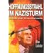 Hoffnungsstrahl im Nazisturm: Geschichte eines Holocaust�berlebenden