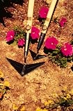 Winged Weeder - Compact