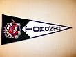 Toronto Raptors - NBA Basketball Classic (Pennants)