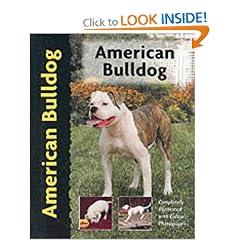 American Bulldog (Pet Love)