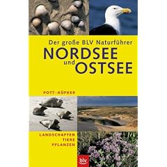 Der gro�e BLV Naturf�hrer Nordsee und Ostsee. Sonderausgabe