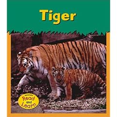 Tiger (Zoo Animals)