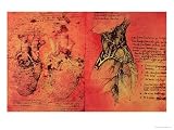Anatomical Drawing of Hearts and Blood Vessels from Quaderni Di Anatomia Vol 2, Folio 3V Giclee Poster Print by Leonardo da Vinci , 9x12