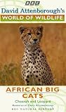 David Attenborough s World Of Wildlife 3 - African Big Cats