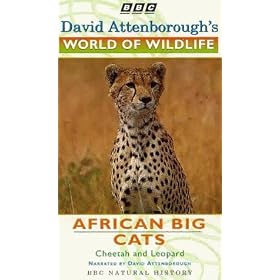 David Attenborough's World Of Wildlife 3 - African Big Cats