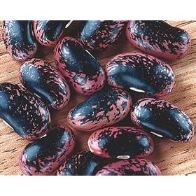 Scarlet Runner Beans, 1 lb. (2 - 8 oz. pkgs.)