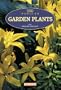 500 Popular Garden Plants for American Gardeners