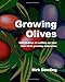 Growing Olives: Information On Setting Up Your Own Olive Growing Enterprise