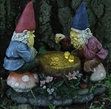 Solar Gnome Checkers