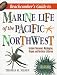 Book Beachcomber's Guide to Marine Life of the Pacific Northwest (Beachcomber's Guide)