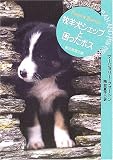 牧羊犬シェップと困ったボス