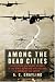 Book Among the Dead Cities: The History and Moral Legacy of the WWII Bombing of Civilians in Germany and Japan