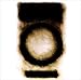 Music : Terra Firma