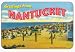 Fridgedoor Domed Nantucket Bathing Beach Magnet