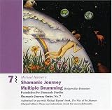 Shamanic Journey Multiple Drumming