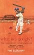 What Is A Googly?: The Mysteries Of Cricket Explained