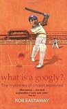 What Is A Googly?: The Mysteries Of Cricket Explained