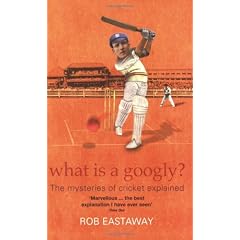 What Is A Googly?: The Mysteries Of Cricket Explained