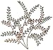 Autumn Memories Wall Art 36"hx39.25"w Multi