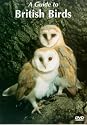 Guide To British Birds [DVD] [2002]