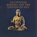 Buddha And The Chocolate Box