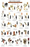 Mac's Field Guide to Pacific Northwest Trees (Mac's Guides)