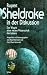 Book Rupert Sheldrake in der Diskussion: Das Wagnis einer neuen Wissenschaft des Lebens
