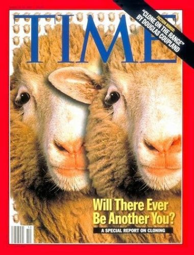 Dolly, Cloned Sheep, Art Poster by TIME Magazine, size 8