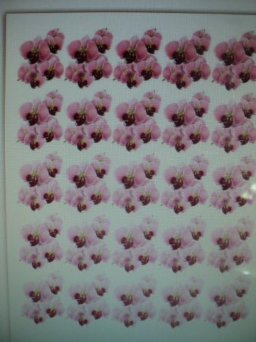 25 Edible Decorative Wafer Paper Flowers © PINK ORCHID CLUSTERS Flower Wedding Birthday Cakes Cupcakes Toppers NEED TO BE CUT OUT