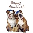 Pet Star Hanukkah Cards - Bulldog by  Pet Star Photography
