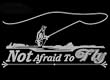 Not Afraid to Fly Upstream Images Silver Vinyl Wildlife Car Truck Window Decal Sticker Not Afraid to Fly Upstream Images Silver Vinyl Wildlife Car Truck Window Decal Sticker