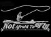 Not Afraid to Fly Upstream Images Silver Vinyl Wildlife Car Truck Window Decal Sticker