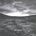 Dark Wood