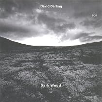 Darkwood