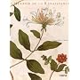 L'Herbier de la Renaissance de Claudia Swan