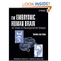 The Embryonic Human Brain: An Atlas Of Developmental Stages