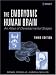The Embryonic Human Brain: An Atlas Of Developmental Stages