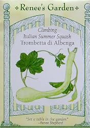 Climbing Italian Trombetta di Albenga Heirloom Squash Seeds 25 Seeds