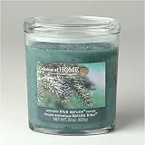 Review Colonial Candle of Cape Cod  / Colonial Candle Blue Spruce 22 oz Oval Jar Candle