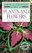 Book Simon & Schuster's Guide to Plants and Flowers