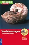 Steinbachs Naturführer. Versteinerungen