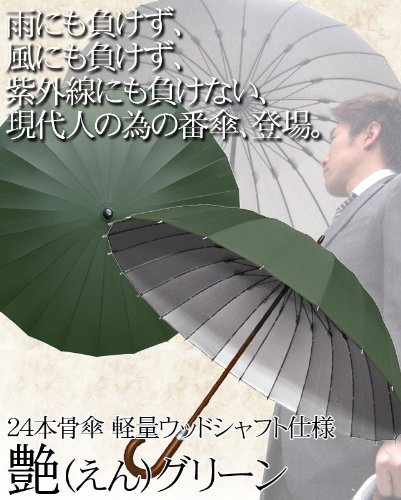 Cover image : 24本骨傘 軽量ウッドシャフト仕様 【艶】(えん) 直径約105cm グリーン 22821
