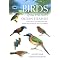 Bird & Wildlife Guides to Africa