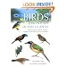 Birds of the Indian Ocean Islands: Madagascar, Mauritius, R�union, Rodrigues, Seychelles and the Comoros