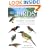 Birds of the Indian Ocean Islands: Madagascar, Mauritius, R�union, Rodrigues, Seychelles and the Comoros