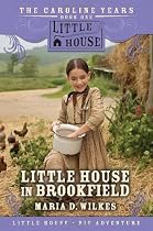 Little House In Brookfield