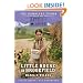 Little House in Brookfield (The Caroline Years, Bk 1)